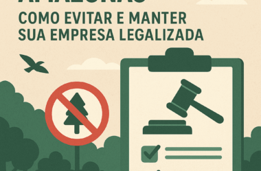 Evite Multas Ambientais no Amazonas: Guia para Empresas